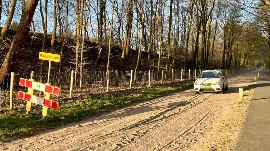 Bospad met een aanrijdende auto en ernaast een wegversperringsbord met daarboven een geel bord ‘paddentrek.