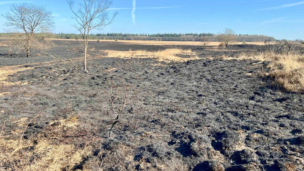 Beeld van verbrande heide na de natuurbrand van 3 april 2025.