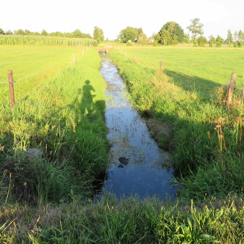 Beekloop Ede