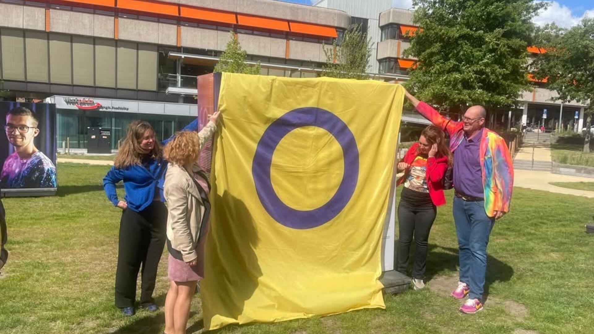 Aan weerskanten van een gele vlag met paarse cirkel in het midden staan 2 personen.