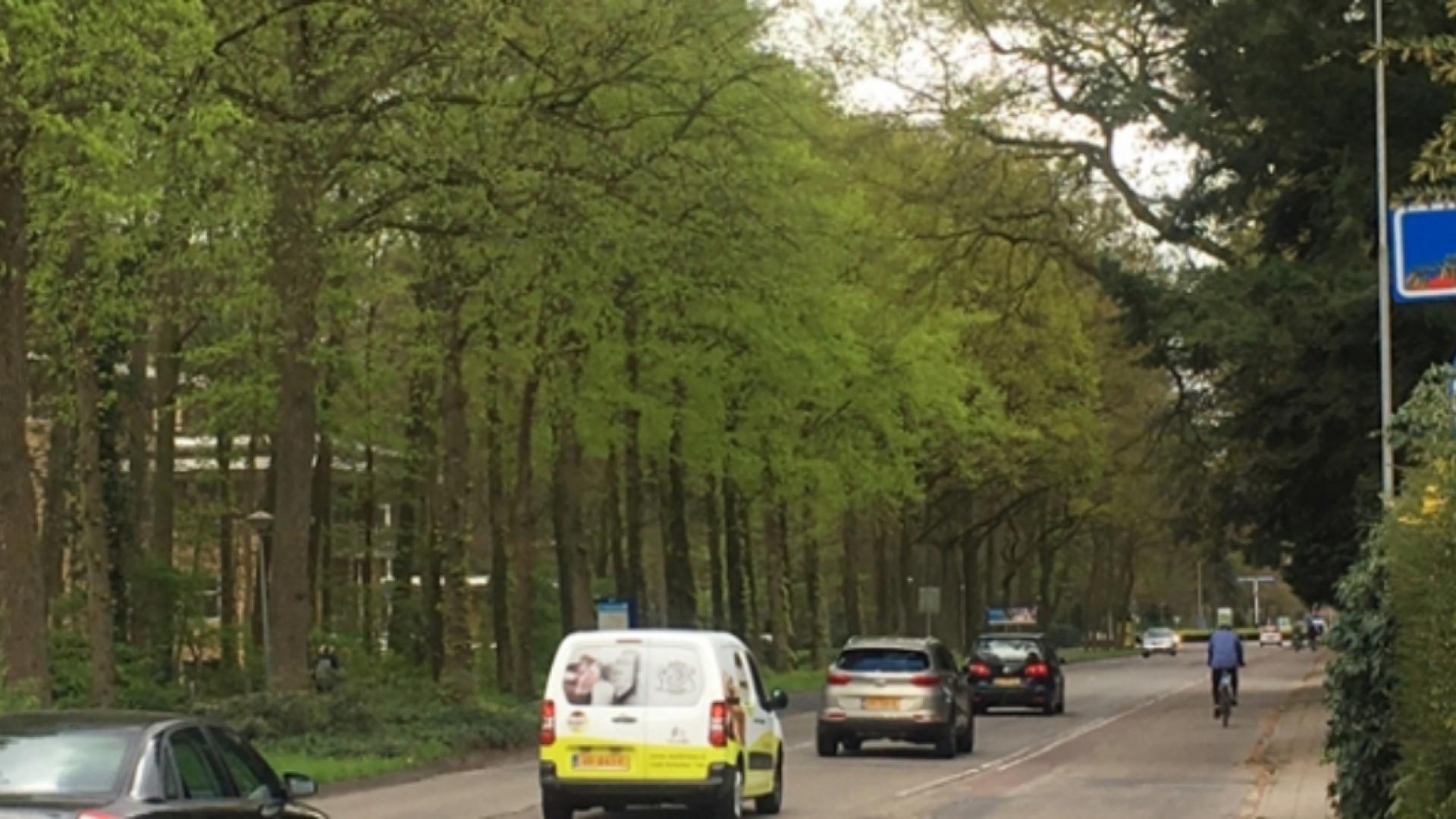 parklaan_01.jpg
